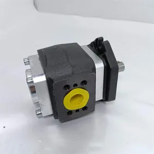EIPH-Serie Zahnradpumpe EIPH2-025RK23-11 EIH2-016RK00-11 EIPC3-050RK23-10 EIPH EIPC2 EIPC3 EIPC5 EIPC6 Hydraulische Servozahnradpumpen thumbnail-4
