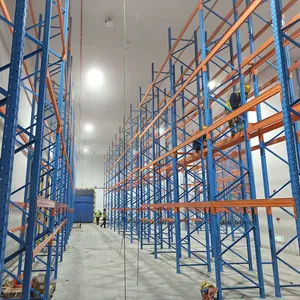 Cold Storage Racking, Heavy Duty Pallet Racking for Low Temperature Warehouse, Moisture & Rust Resistant Cold Room Rack Customized thumbnail-1