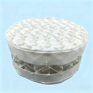 PP Structured Packing for SO2 Absorption and Wet Flue Gas Scrubber Towers thumbnail-1