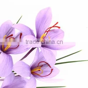 High Quality Pure Saffron Powder Herbal Ingredients thumbnail-3