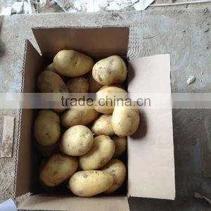 2015 Super Quality of the Potato thumbnail-4