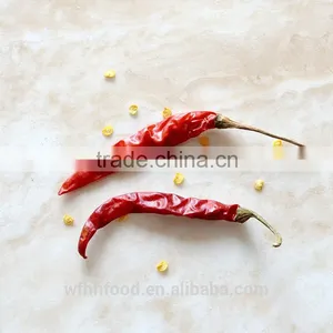 Dry Red Chilli thumbnail-4
