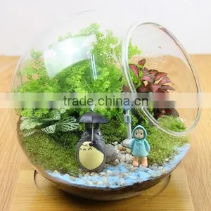 Yasit Different Types Glass Vase/ Glass Terrarium,clear Glass Festivals Decoration,clear Glass Vase thumbnail-2