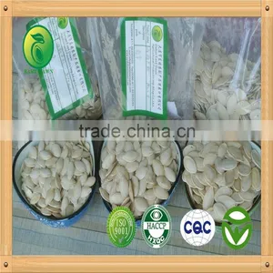 China Shine Skin Raw Pumpkin Seeds 10mm 11mm 12mm up Stock Online Promotion thumbnail-1