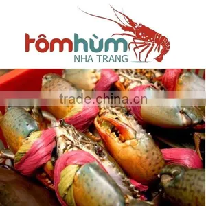 MALE / FEMALE MUD CRAB VIETNAM (Scylla Serrata) High Quality and Suitable Supplying thumbnail-1