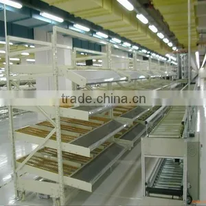 Industrial Carton Flow Steel Rack Gravity Rolling Racking System thumbnail-1