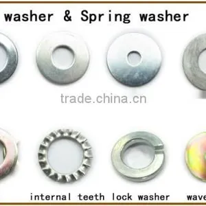 Chinese Factory Supply Plain Zinc Yellow Zinc Hot Dip Galvanizing DIN125A Washer thumbnail-5