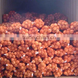 Low Price Fresh Yellow and Red Onion thumbnail-1