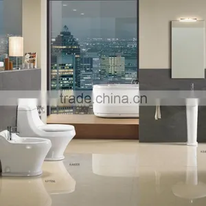 Lavatory Ceramic Washdown One Piece Water Closet Types of Toilet Bowl thumbnail-4
