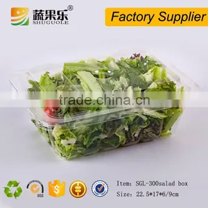 Rectangle Transparent Take Away Plastic Salad Box With Lid thumbnail-5