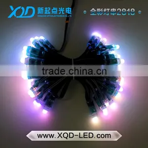 2818 12mm Diffused Digital RGB LED Pixel String Light Individually Addressable Round LED Module IP68 thumbnail-5