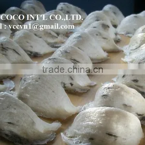BIRD NEST thumbnail-3