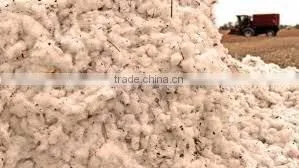 Best Quality Raw Cotton thumbnail-1