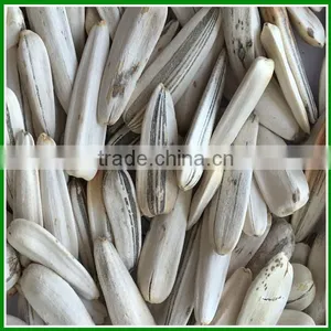 Good Quality Raw White Sunflower Seeds In Bulk thumbnail-2