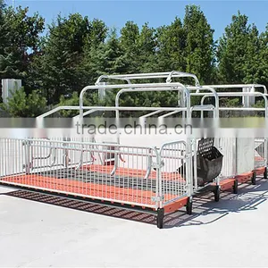 Equipment For Poultry Farms Farrowing Crates For Pigs For Sale thumbnail-3
