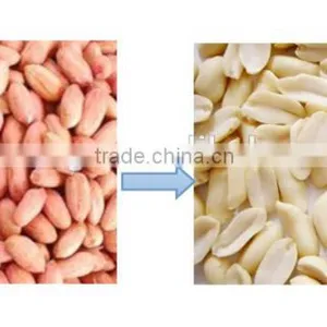 Peanut Halving and Peeling Machine thumbnail-2