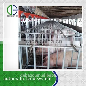 Custome Design Galvanized Adjustable Farrowing Pen For Pig Farm thumbnail-1
