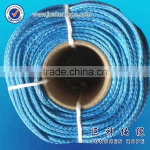 Top Grade New Design 2mm 3mm Hang Gild Winch Rope thumbnail-4