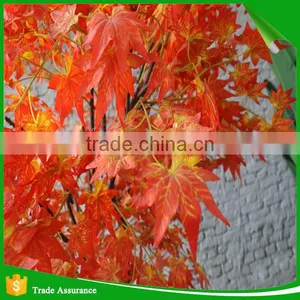 Wholesale Hand Make Decorative Fake Maple Tree thumbnail-4
