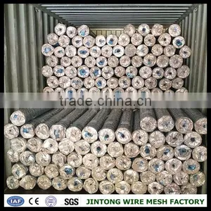 Pvc Coated Hexagonal Mesh Cheap Chicken Wire Lowest Price Chicken Wire Mesh thumbnail-5
