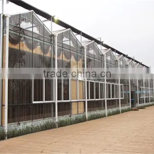 Competitive Price Greenhouse Hydroponics Strawberry thumbnail-6
