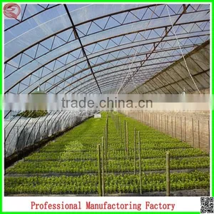 Economic and Eco-friendly Single-span Solar Greenhouse for Plant Growing With Arched Type thumbnail-4