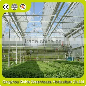High Quality Galvanized Steel Structure Agricultural Greenhouse With Hydroponic thumbnail-1