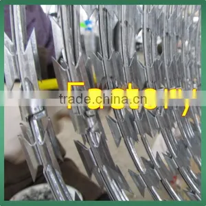 Galvanized Surface Treatment and Barbed Wire Coil Type Concertina Razor Wire thumbnail-1