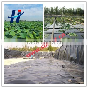 Hdpe Waterproofing Geomembrane for Pond Liner thumbnail-3