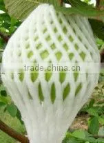 EPE Plastic Safe Biodegradable Fruit Foam Netting thumbnail-4
