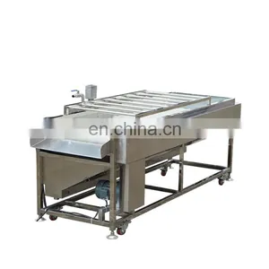 Commercial Sweet Potato Baby Carrot Tomato Onion Vegetable Orange Peach Apricot Blueberry Small Fruit Brush Washing Machine thumbnail-7