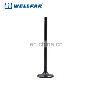 Chinese Factory Chromium Coating Nitrided 1RZ Engine Valve thumbnail-5