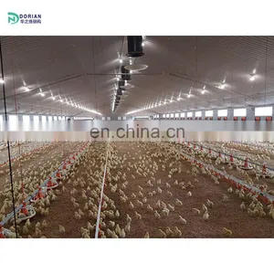 Prefabricated Galvanised Steel Portal Frame Cow Sheds House for Chicken thumbnail-1