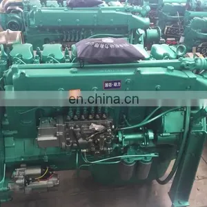Hot Sale Brand New 495/Ricardo/6126 Diesel Engine for Water Pump Use thumbnail-4
