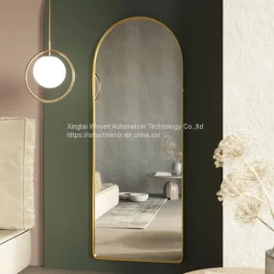 Arched Aluminum Frame Full Body Mirror Household Floor Mirror Light Luxury Thin Clothing Store Fitting Mirror thumbnail-4