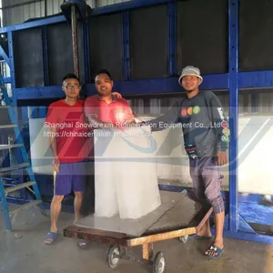 5ton/24hr High Production Block Ice Machine thumbnail-5