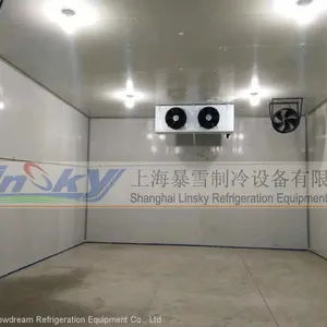 Ceiling Type Air Cooler thumbnail-4