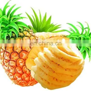 Industrial Full Automatic Coconut Peeling Machine/pineapple Peeler thumbnail-3