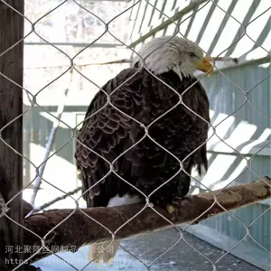 Zoo-Grade Aviary Netting With Anti-Entanglement Design for Large Birds thumbnail-2