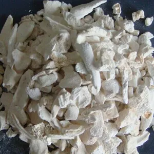 Animal Ashes Used for Bone China thumbnail-3