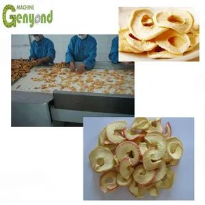 Core Components PLC Gear Pump Motor-Fruit and Vegetable Chips Making Machine thumbnail-1