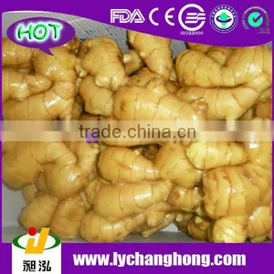2014 High Quality New Crop Fresh Ginger For UK,CANADA,USA and EU Market Quality Choice thumbnail-1