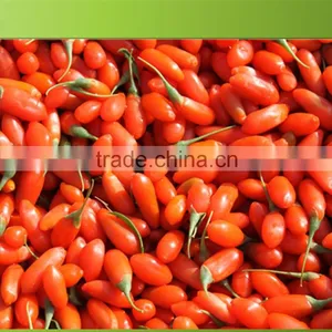 2015's New Crop Organic and Low Pesticide Gojiberry From China Factory thumbnail-3