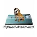 Scale for Dog thumbnail-1