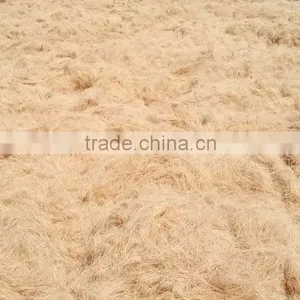 Coconut Fiber (QQ : 2598494113) thumbnail-2