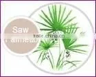 SawPalmetto Extract 45% Fatty Acids thumbnail-1