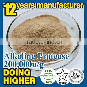 ISO 9001-2008 Certificates Food Additive Alkaline Protease thumbnail-1