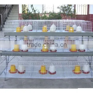 Automatic Chicken Layer Cage for Salling!!! thumbnail-6
