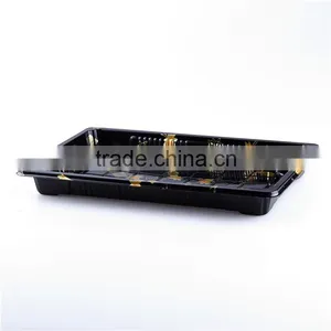 SM1-1107A Plastic Disposable Blister Food Packing thumbnail-2