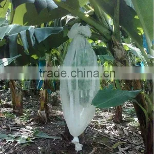 Polypropylene Spunbonded Fabric, pp Spunbond Nonwoven Fabric, Nonwoven Spunbond Polypropylene thumbnail-4